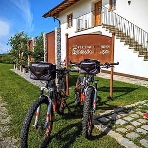 Apartment Schneckenhausen, Pittenhart